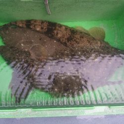 深川　吉野屋 釣果