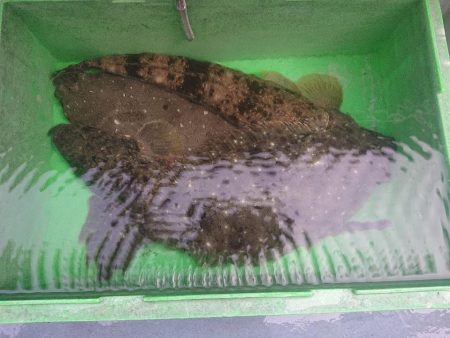 深川　吉野屋 釣果