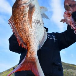 Fisherman Dreams DI 釣果