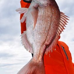 Fisherman Dreams DI 釣果