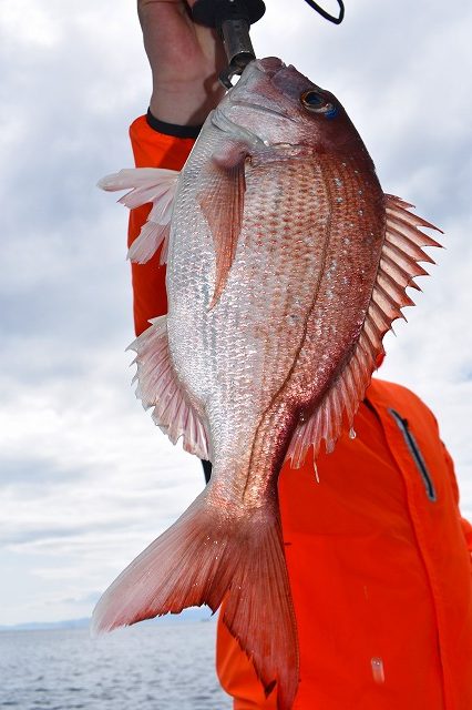 Fisherman Dreams DI 釣果