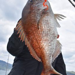 Fisherman Dreams DI 釣果