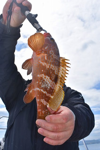 Fisherman Dreams DI 釣果