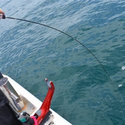 Fisherman Dreams DI 釣果