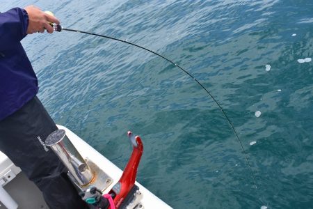 Fisherman Dreams DI 釣果