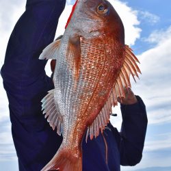 Fisherman Dreams DI 釣果