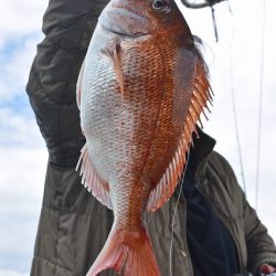 Fisherman Dreams DI 釣果