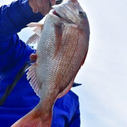 Fisherman Dreams DI 釣果