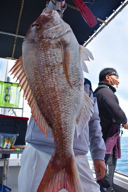 Fisherman Dreams DI 釣果