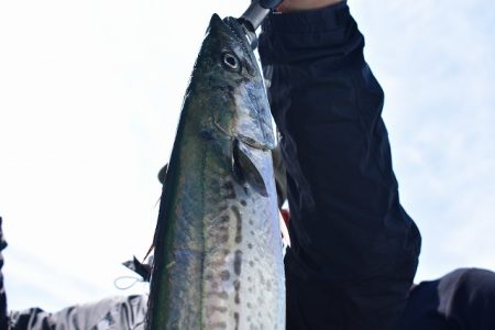 Fisherman Dreams DI 釣果