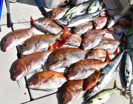 Fisherman Dreams DI 釣果