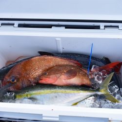 Fisherman Dreams DI 釣果