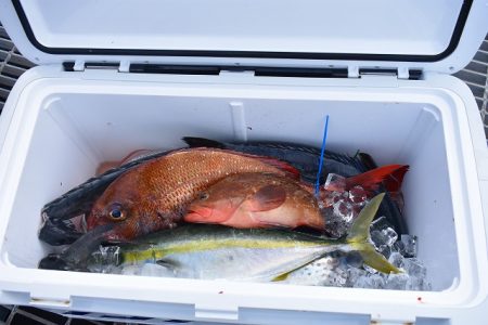 Fisherman Dreams DI 釣果