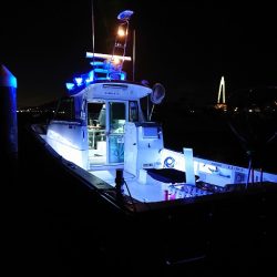 フィッシングボートACE(エース) 釣果