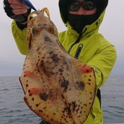 フィッシングボートACE(エース) 釣果