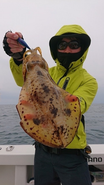 フィッシングボートACE（エース） 釣果