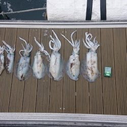 フィッシングボートACE(エース) 釣果