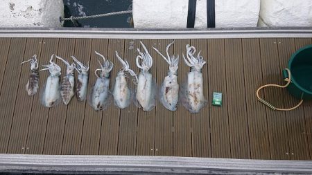 フィッシングボートACE(エース) 釣果