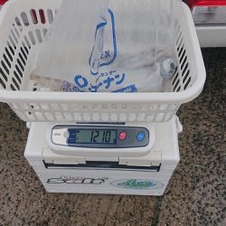 フィッシングボートACE(エース) 釣果