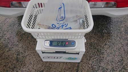 フィッシングボートACE(エース) 釣果