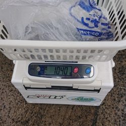 フィッシングボートACE(エース) 釣果