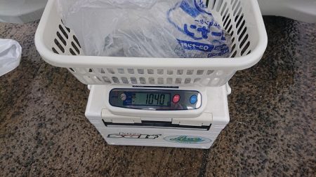 フィッシングボートACE(エース) 釣果