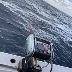 番匠高宮丸 釣果