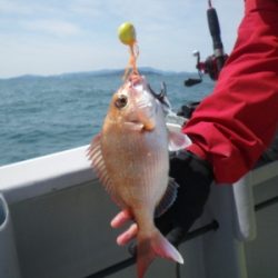 磯部釣船 直栄丸 釣果