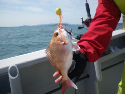 磯部釣船 直栄丸 釣果