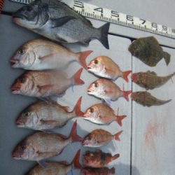 磯部釣船 直栄丸 釣果