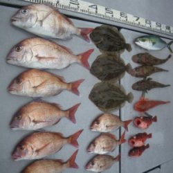 磯部釣船 直栄丸 釣果