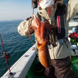 恵比寿丸(兵庫) 釣果