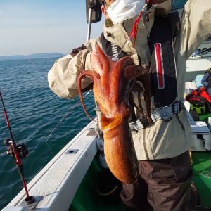 恵比寿丸（兵庫） 釣果