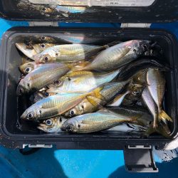 深川 吉野屋 釣果