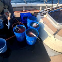 オーシャンズ 京都 釣果