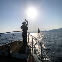 オーシャンズ 京都 釣果