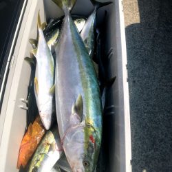 オーシャンズ 京都 釣果