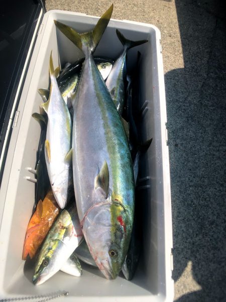 オーシャンズ 京都 釣果