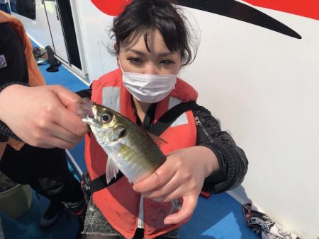 深川 吉野屋 釣果