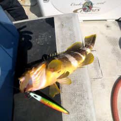 オーシャンズ 京都 釣果