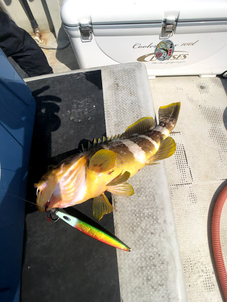 オーシャンズ 京都 釣果