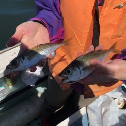 深川 吉野屋 釣果