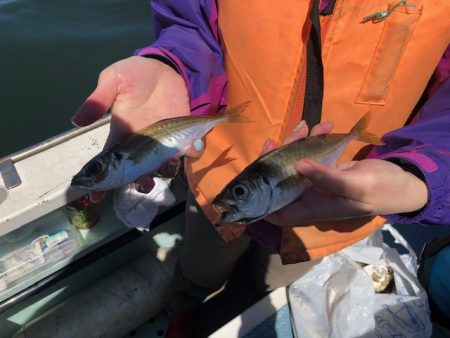 深川 吉野屋 釣果