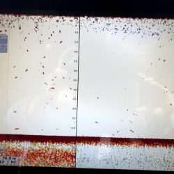 オーシャンズ 京都 釣果