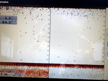 オーシャンズ 京都 釣果