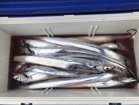 深川 吉野屋 釣果