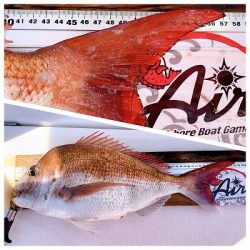 フィシングボートAir(エアー) 釣果