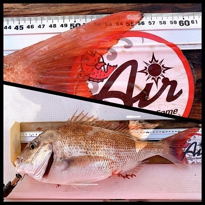 フィシングボートAir(エアー) 釣果