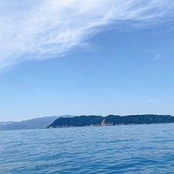 フィシングボートAir(エアー) 釣果