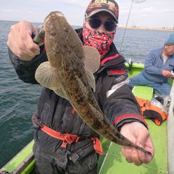 深川 吉野屋 釣果